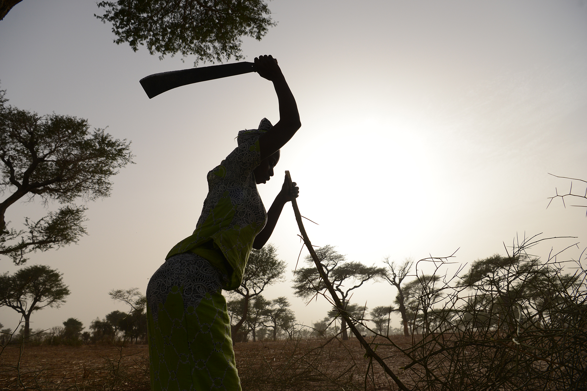 SENEGAL: DA DAKAR AL SAHEL